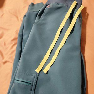 Figs- XSP High Waisted Zamora Jogger in Cactus Color